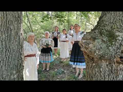 Grupul folcloric Grecesti - Cernatesti, Dolj (LIVE, 29.06.2022)