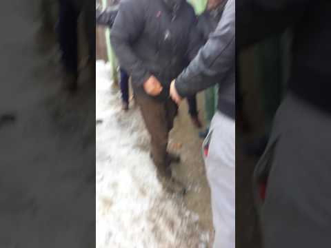 Plugusoru din Fastaci