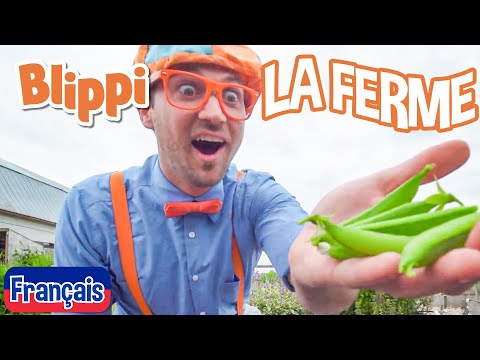 La ferme - Blippi en français | Vidéos éducatives pour les enfants