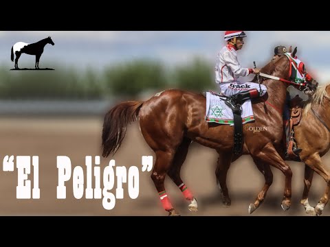 The Famous "Danger" of the Tracks (Its Story) 🐴 - I Am From the Hill