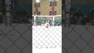 Alisov Ramin dunya kemeri MMA