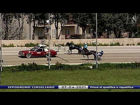 Aversa trotto 7 Aprile 2021 - Prova di qualifica e riqualifica