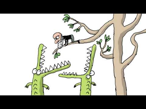 Qui était Darwin ? - 1 jour, 1 question