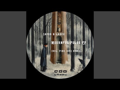 Reason and Passion (PiNG UK Remix)