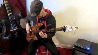 Video thumbnail for Jammin' with my Rob Allen MB-2 fretless | 05 String test - La Bella Black Nylon vs. White Nylon by Magnus Sjöquist