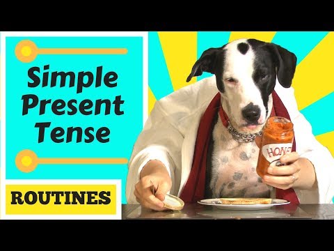 The Present Simple Tense - Carter's breakfast routine