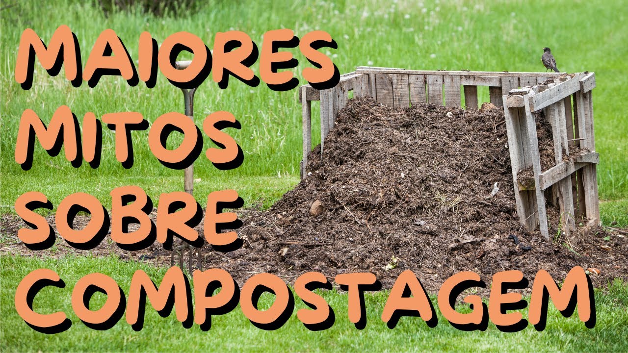 Mitos Sobre Compostagem que Você Precisa Parar de Acreditar Agora