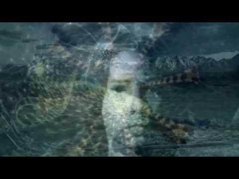 Alan Watts - Tat Tvam Asi