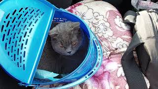 БЕЖЕНЕЦ СИЛЬВЕР... война в Украине /февраль 2022