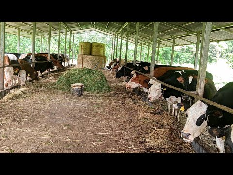 Finca Ganadera en venta. Guanacaste, Costa Rica