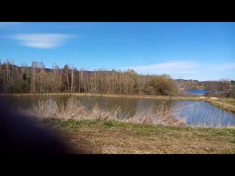 Nádherný záběr osobního vlaku číslo 8106 společnosti GW train regio 628 286 Gagarin směr ČB