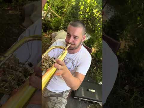 Vlade Stojić Malika i Veljko Ostojić ubijaju u Zlakusi sa Žarkom Jovanovićem