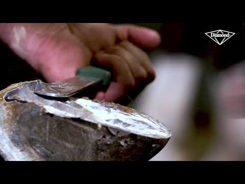 Slide 4 - Diamond Super Sharp 2 Piece Hoof Knife Vet Pack  (video)