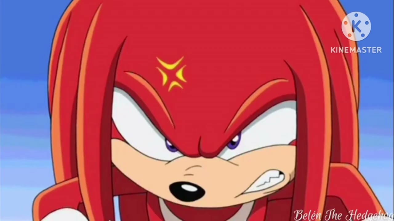 Angry Tails the Fox anger knuckles the echidna mad Sonic mad la Amy rose Sally Acorn angry
