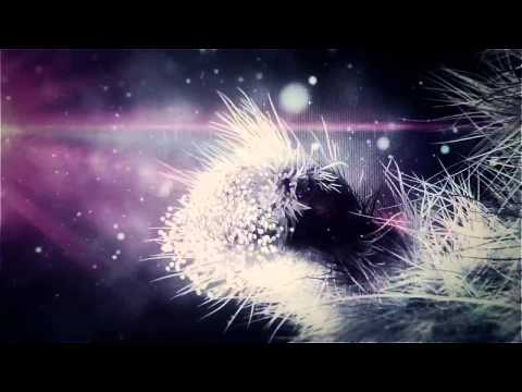 The Perfect Pill - To All The Ruskins (Official Lyric Video)