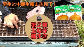 The second batch of onion seeds has been planted [Early] [Junko] [Mid-late] [Momoe] [Home garden]