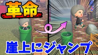 [轉貼] 動森/動物森友會 瑪利歐水管考察