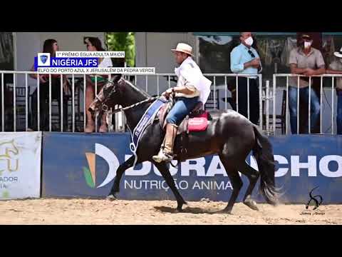 NIGÉRIA JFS (Elfo do Porto Azul x Jerusalém da Pedra Verde). 1° Prêmio Brasileiro de Marcha Picada