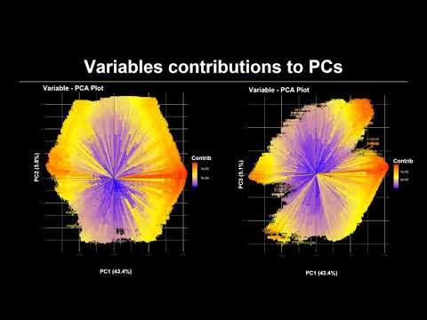 H3ABioNet-Fogarty Collaborative Research Seminar Series: Joseph & Seyba_ 26 May 2020