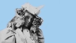 The Novel and Psychology: Edith Wharton's 'Age of Innocence'