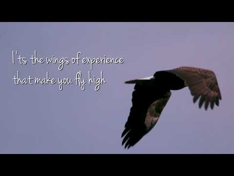 Shine On - Eric Bibb