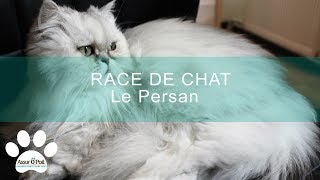 Le Poil Live الموقع الإلكتروني الأكثر شهرة لمشاركة مقاطع الفيديو الموسيقية Le Poil Live الموقع الإلكتروني الأكثر شهرة لمشاركة مقاطع الفيديو الموسيقية