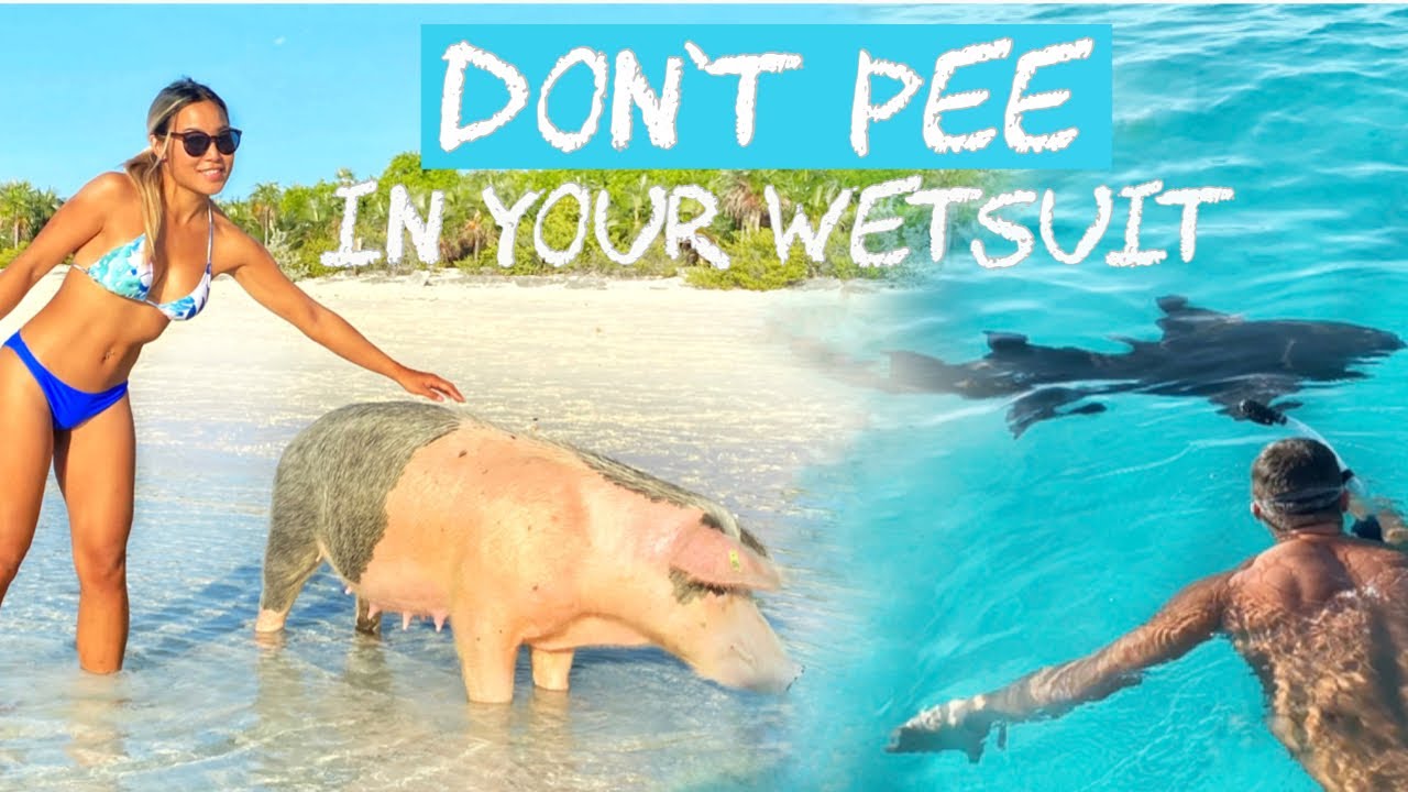 Cruising the Northern Exuma Cays, Bahamas - Shipwrecks, Snorkeling, Sharks & Pig Beach! - Ep 18