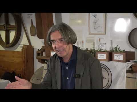 Szántai Lajos: Szkíták