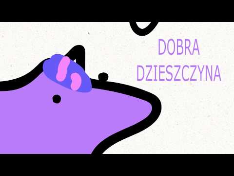 kuce lubią sianko - kuce z bronksu 1x10