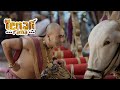 आखिर क्यों लाना पड़ा पंडित रामा कृष्ण को दरबार में बैल | Tenali Rama -तेनाली रामा | Best Comedy DEFAULT Thumbnail
