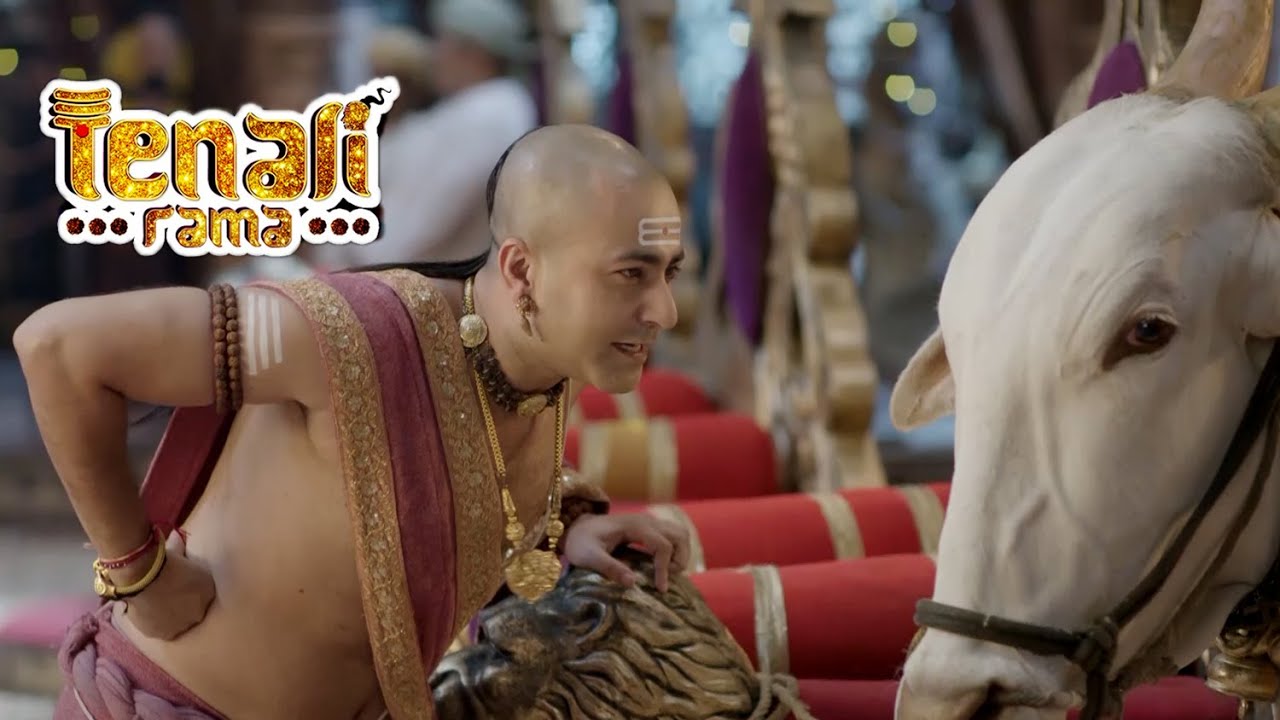 आखिर क्यों लाना पड़ा पंडित रामा कृष्ण को दरबार में बैल | Tenali Rama -तेनाली रामा | Best Comedy