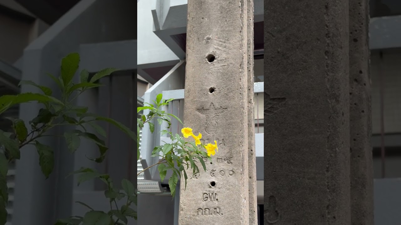 Concrete Pillar 🏗️, Bangkok, Thailand