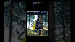 How This Forestry Harvester Destroys a Tree in Seconds 🌲🤯