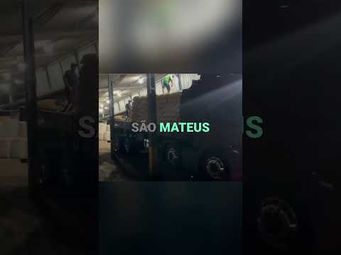 Começou a jornada! Carregando 600 sacos em São Mateus do Sul! #shorts