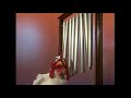 Muppet Songs A Chicken Plays The Chimes