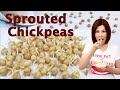 How To Sprout Chickpeas Garbanzo Beans Superfood Ready To Eat In 3 Days 如何发鹰嘴豆芽