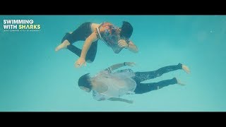 Dave Edwards x Fly By Midnight - Swimming With Sharks (Official Lyric Video)