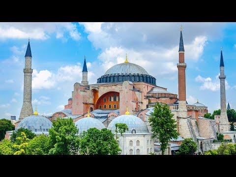 Beautiful Cats in Beautiful Mosques | Muhammad Nabina | AYA SOFIA