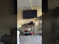 Closing To Stuart Little 2000 VHS