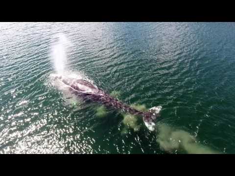 Haida Gwaii - Finding Balance on the Edge of the World