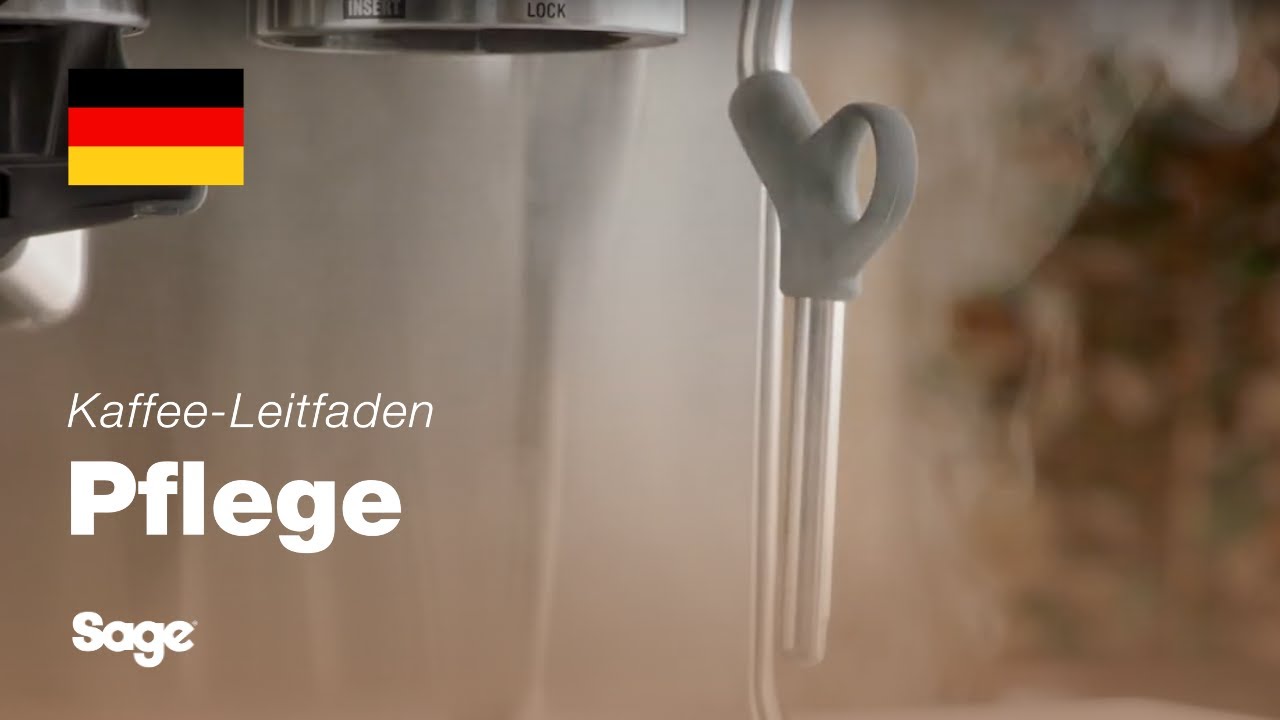 Reinigen des Dampfstabs und blockierter Löcher