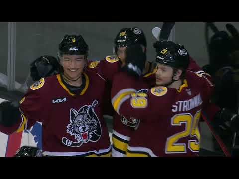 Chicago's Hockey Team: The Chicago Wolves - On Tap Sports Net