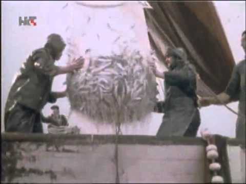 KLAPA KALI - dalmatinska elegija -