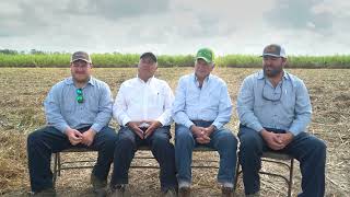 Sugarcane Farming with the Sotile Family in south Louisiana