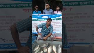 \\"মা ইলিশ সংরক্ষণ অভিযান-২০১৮\\" উপলক্ষে মাছ বাজার অভিযান পরিচালনা, চাটখিল, নোয়াখালী।