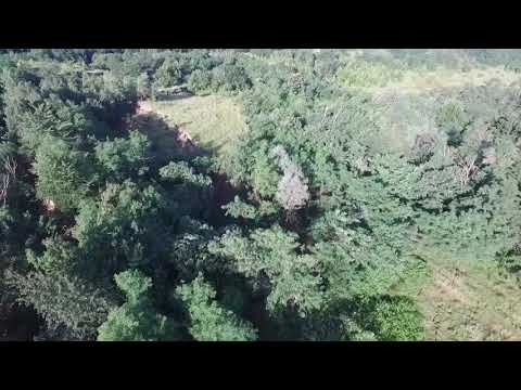 Proporțiile dezastrului de la Roșiile - Vâlcea unde un deal se prăbușește, văzute din dronă. Ziua II