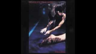 Siouxsie and the Banshees : Jigsaw Feeling