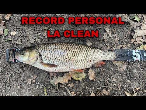 Record personal la #clean
