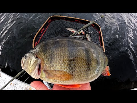 AHVENEN KÖLLIKKÄÄ JIGILLÄ MONTUSTA - SYKSYINEN ILTAPÄIVÄPISTO