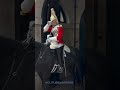 Rare Moment King’s Guard Drinks Water While On Guard